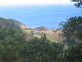 IMG_0910.JPG